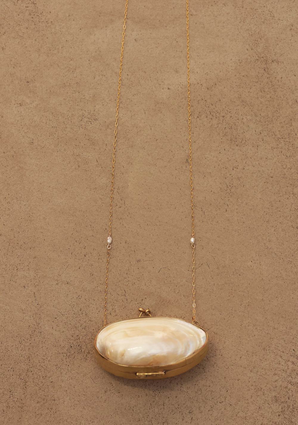 Mother-of-Pearl Minaudière Necklace