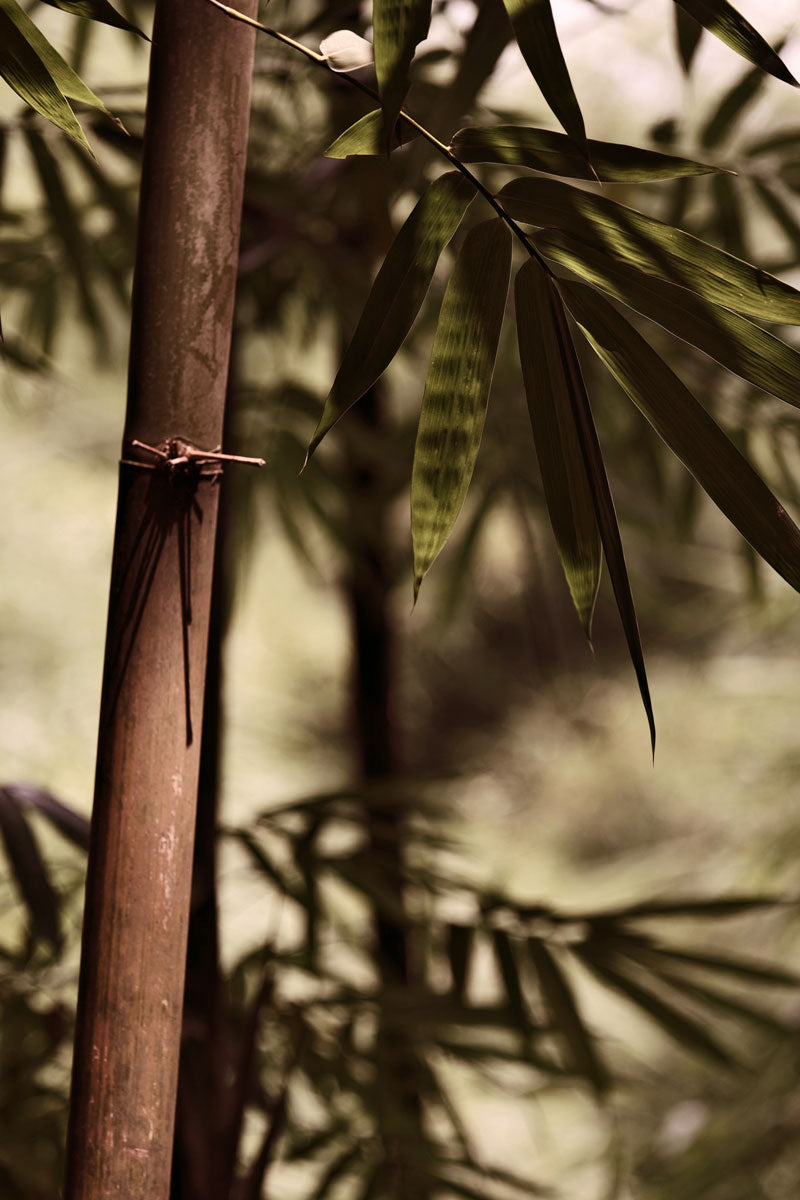 De vraies feuilles de bambous ont été posées une à une pour former le motif sur le tissu. Savoir-faire de Virginie Voncken, artisane d'art